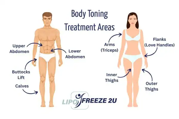 Graphic showing where you can have Body toning Treatment East Grinstead on your body